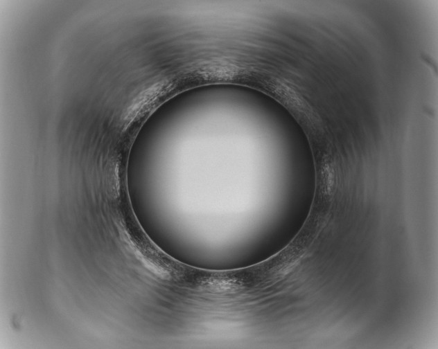 X0000102810638200808181224