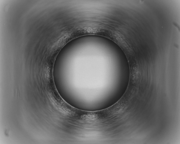 X0000102810639200808181224