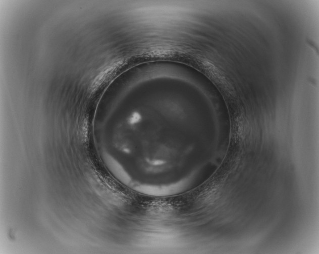 X0000102810640200808181224