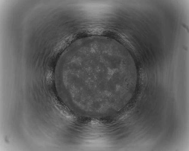 X0000102810641200808181224