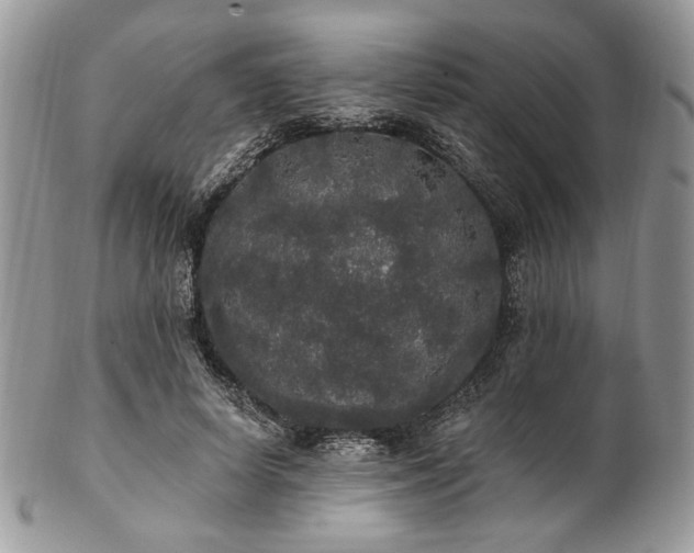 X0000102810642200808181224