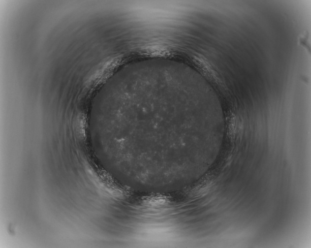 X0000102810643200808181224