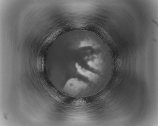 X0000102810644200808181224