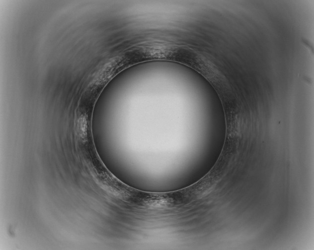 X0000102810646200808181224