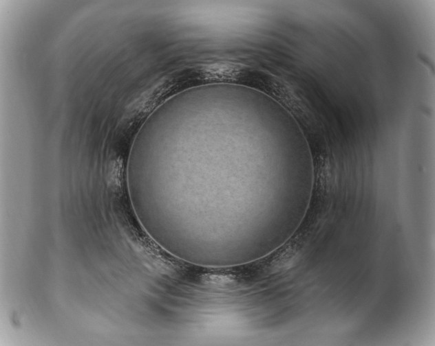 X0000102810649200808181224