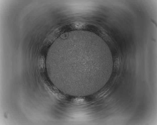 X0000102810651200808181224