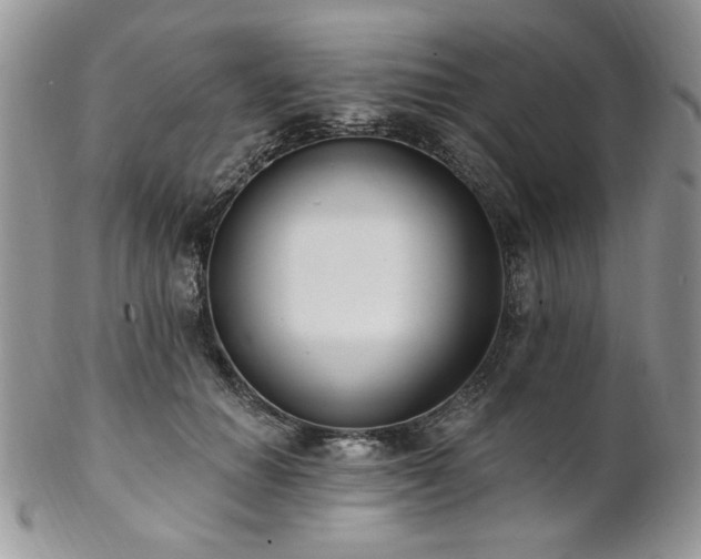 X0000102810654200808181224