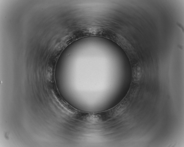 X0000102810656200808181224