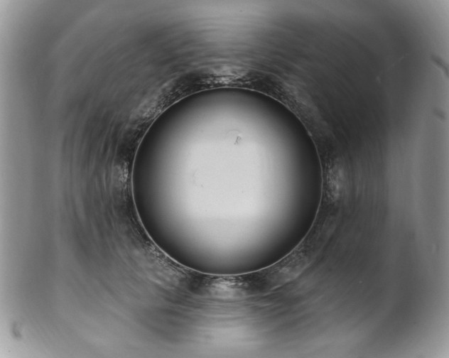 X0000102810657200808181224