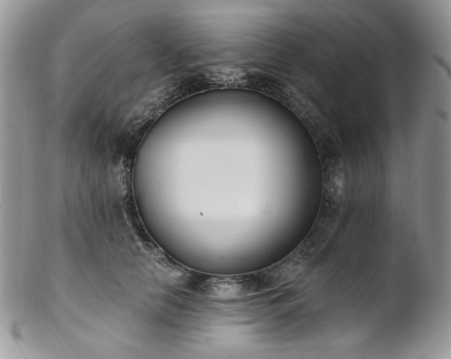 X0000102810658200808181224