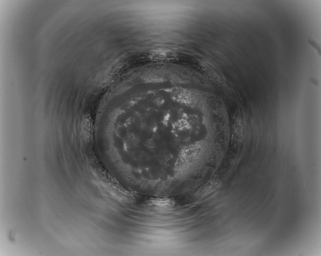 X0000102810659200808181224