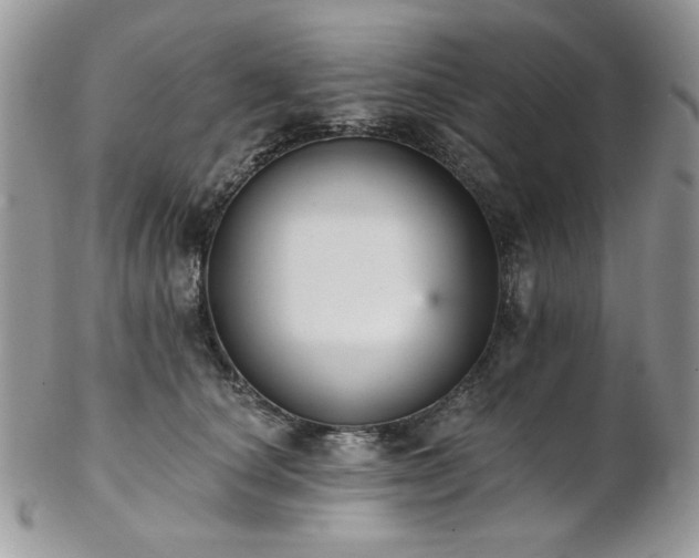 X0000102810660200808181224