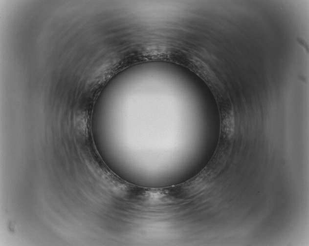 X0000102810662200808181224