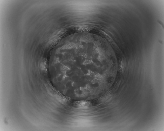 X0000102810663200808181224