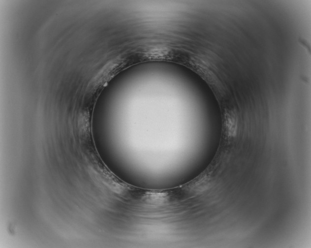 X0000102810665200808181224