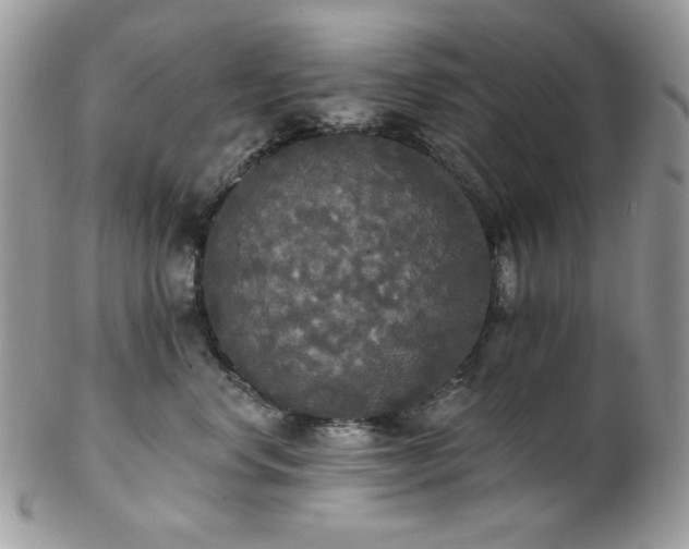 X0000102810668200808181224