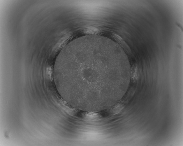 X0000102810669200808181224