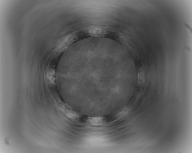 X0000102810671200808181224