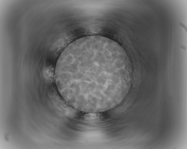 X0000102810672200808181225