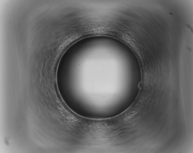 X0000102810673200808181224