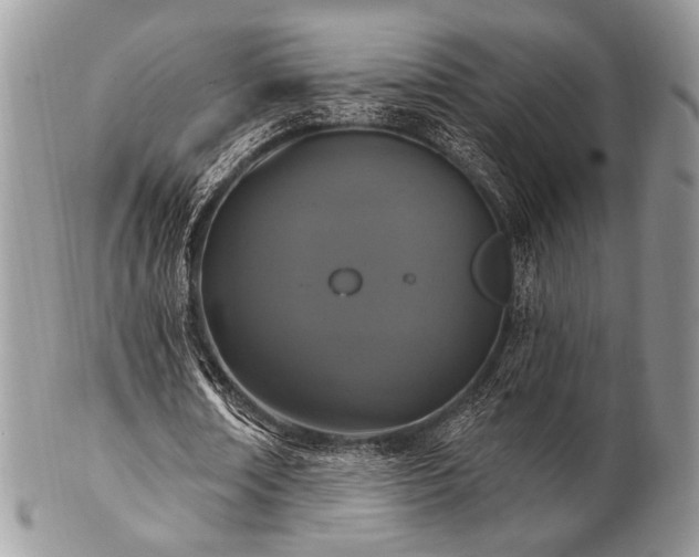 X0000102810674200808181224