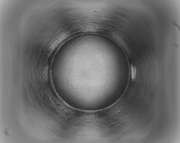 X0000102810675200808181224