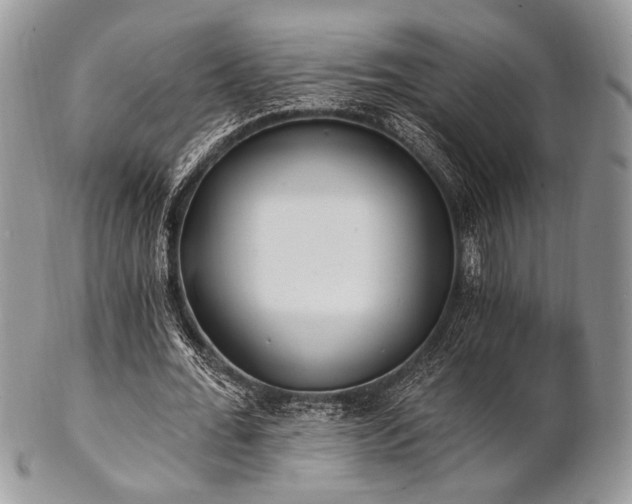 X0000102810676200808181224