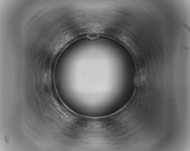 X0000102810677200808181224