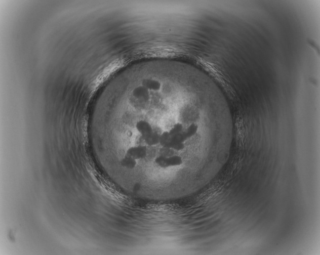 X0000102810679200808181224