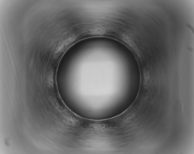 X0000102810681200808181224