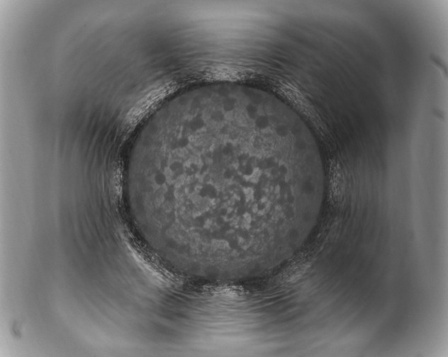 X0000102810683200808181224