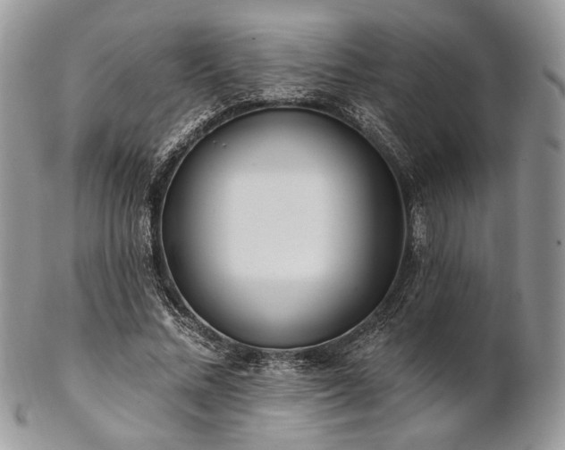 X0000102810684200808181224