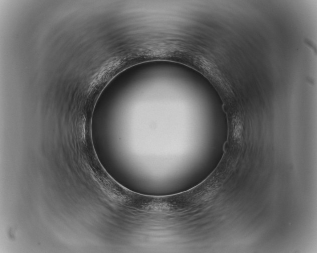 X0000102810685200808181224