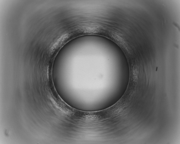 X0000102810686200808181224