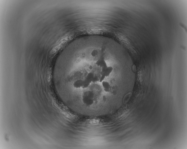 X0000102810687200808181224