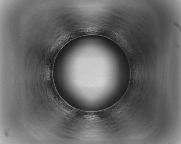 X0000102810689200808181224