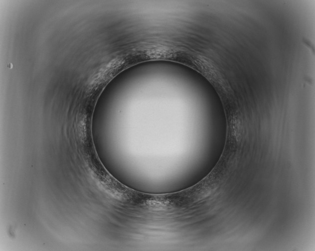 X0000102810690200808181224