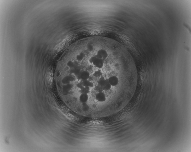 X0000102810691200808181224