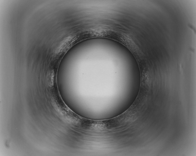 X0000102810694200808181223