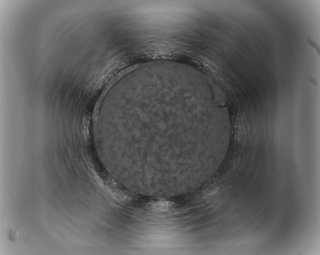 X0000102810695200808181223