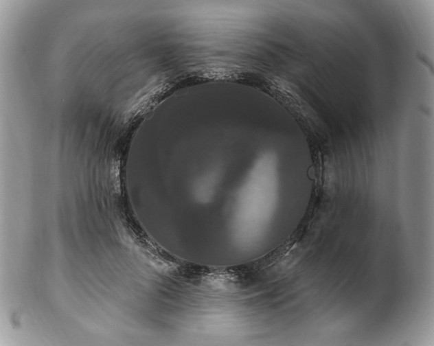 X0000102810696200808181223