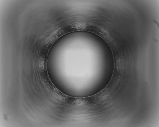 X0000102810697200808181223