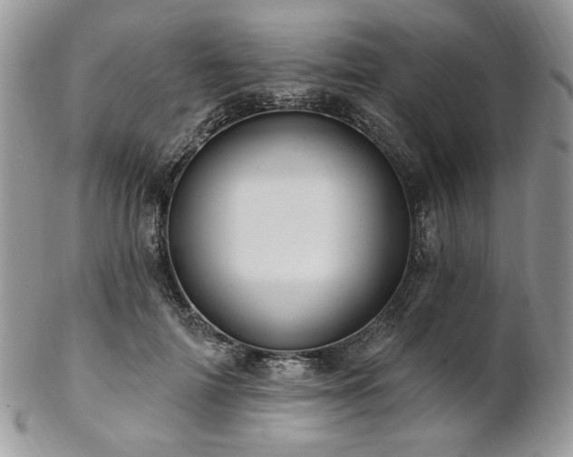 X0000102810698200808181223