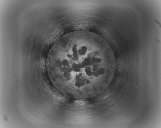 X0000102810699200808181223