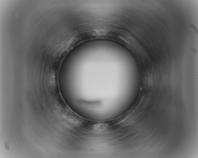 X0000102810700200808181223