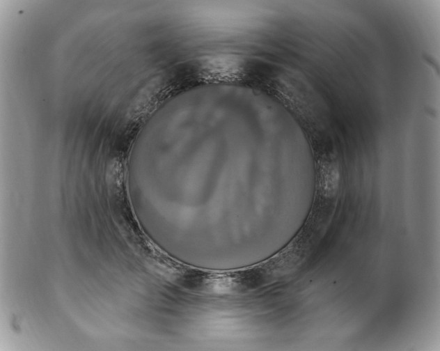 X0000102810701200808181223