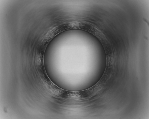 X0000102810702200808181223