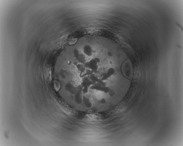 X0000102810703200808181223