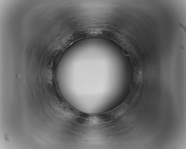 X0000102810704200808181223