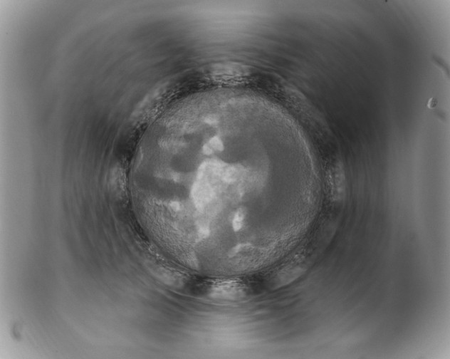 X0000102810705200808181223